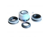 152 WB2 type mechanical seal